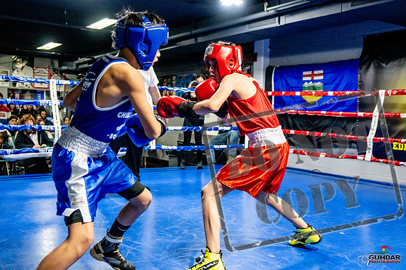 Cougar Boxing Basement Brawl -0222