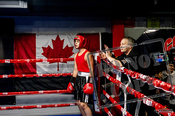 Cougar Boxing Basement Brawl -0599
