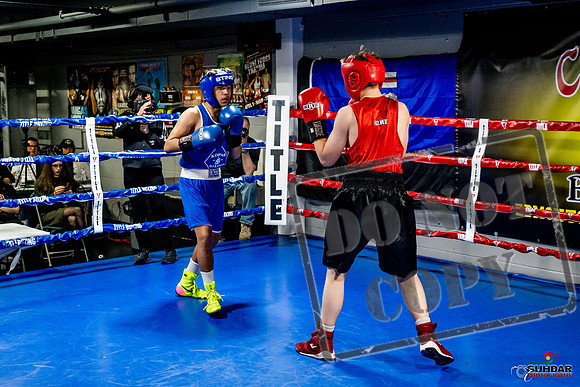 Cougar Boxing Basement Brawl -0526