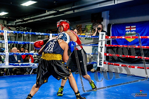 Cougar Boxing Basement Brawl -0302
