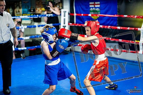 Cougar boxing June 7th 2025-0021