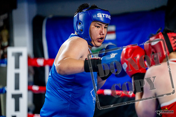 Cougar boxing June 7th 2025-0764