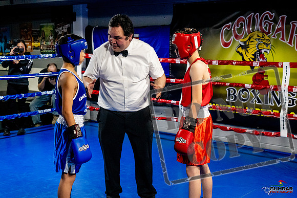 Cougar Boxing Basement Brawl -0219