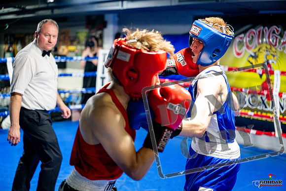 Cougar boxing June 7th 2025-0814