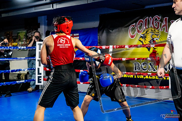 Cougar Boxing Basement Brawl -0305