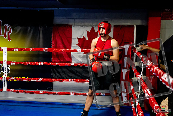 Cougar Boxing Basement Brawl -0656