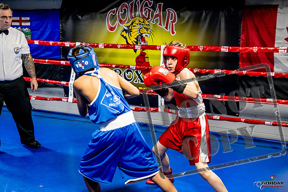 Cougar Boxing Basement Brawl -0335