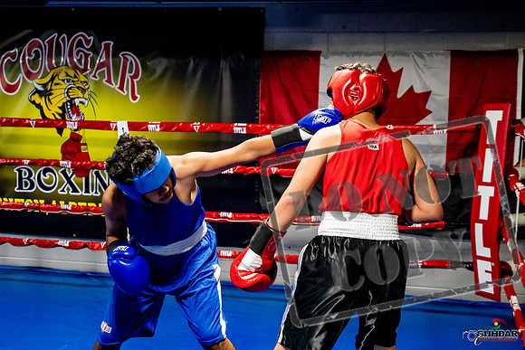 Cougar Boxing Basement Brawl -0636