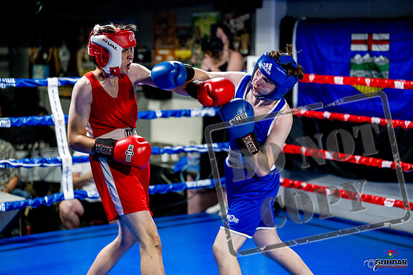 Cougar boxing June 7th 2025-0884