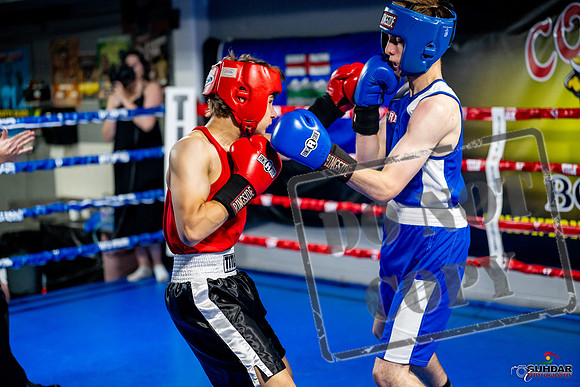 Cougar boxing June 7th 2025-0806
