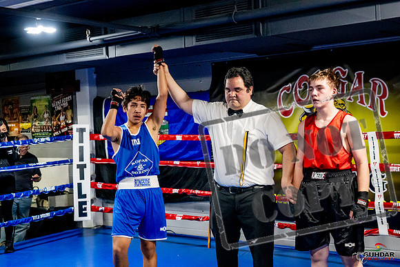 Cougar Boxing Basement Brawl -0545