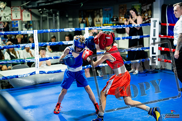 Cougar boxing June 7th 2025-0038