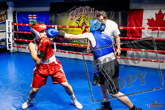 Cougar Boxing Basement Brawl -0501