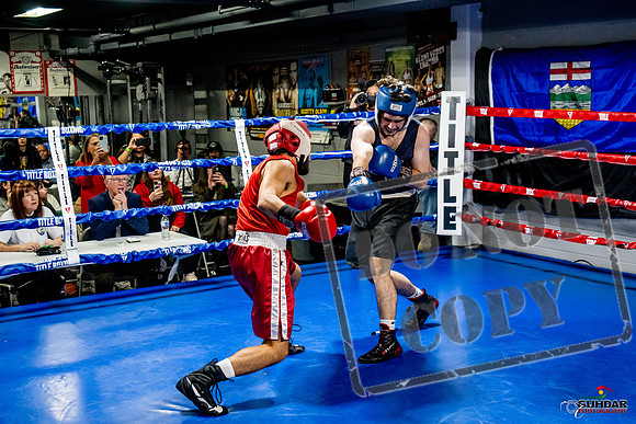 Cougar Boxing Basement Brawl -0378
