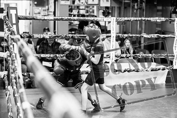 Cougar Boxing -0014
