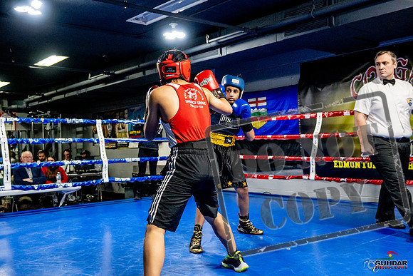 Cougar Boxing Basement Brawl -0278