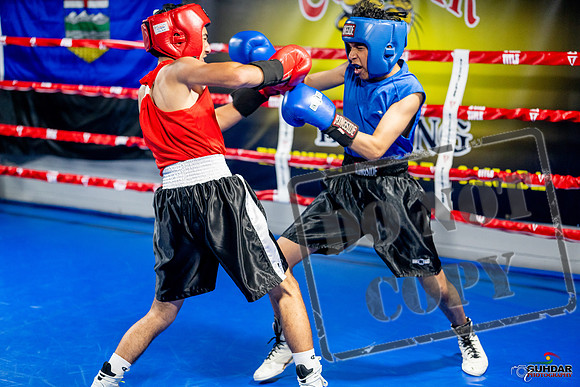 Cougar boxing June 7th 2025-0165