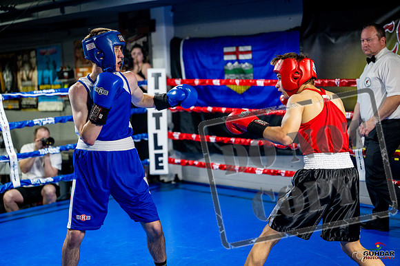 Cougar boxing June 7th 2025-0837