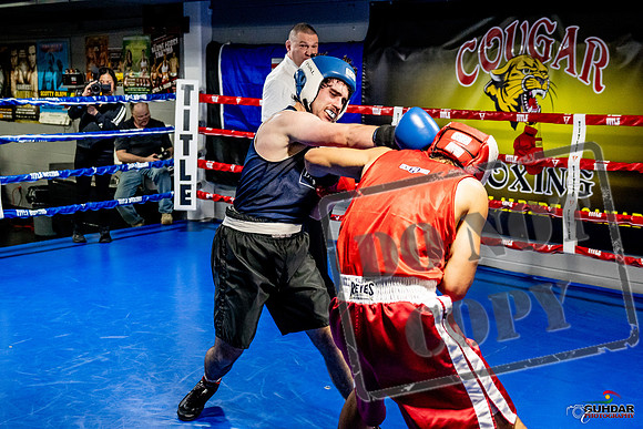 Cougar Boxing Basement Brawl -0428