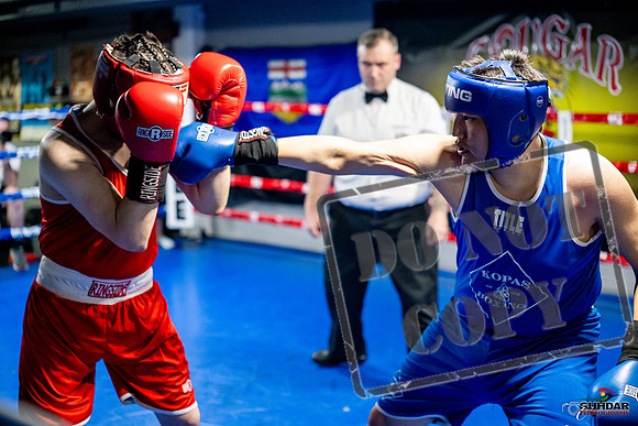 Cougar boxing June 7th 2025-0706