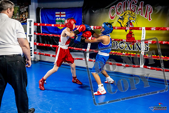 Cougar Boxing Basement Brawl -0331