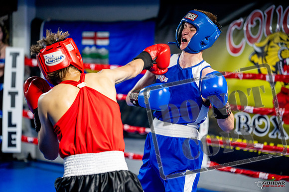 Cougar boxing June 7th 2025-0851