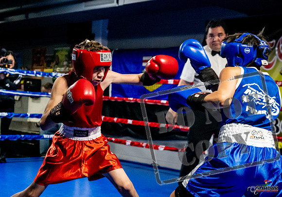 Cougar Boxing Basement Brawl -0236