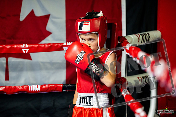 Cougar boxing June 7th 2025-0048