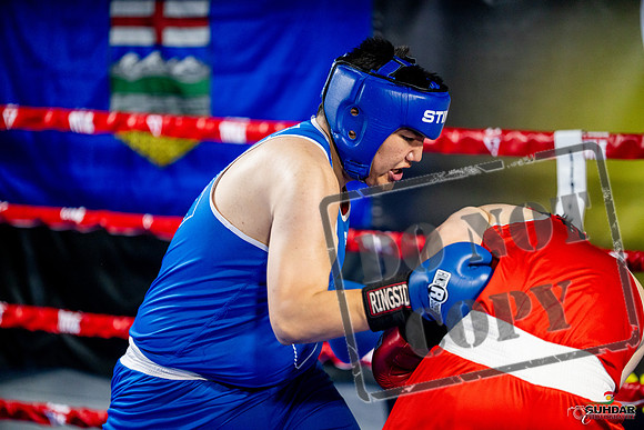 Cougar boxing June 7th 2025-0714