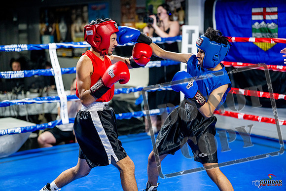 Cougar boxing June 7th 2025-0193