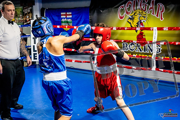 Cougar Boxing Basement Brawl -0337