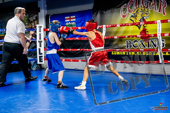 Cougar Boxing Basement Brawl -0097