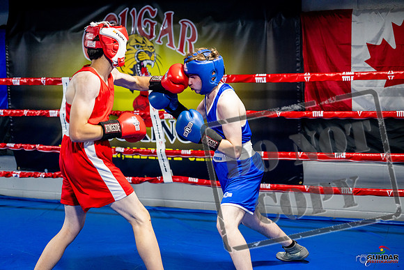 Cougar boxing June 7th 2025-0877