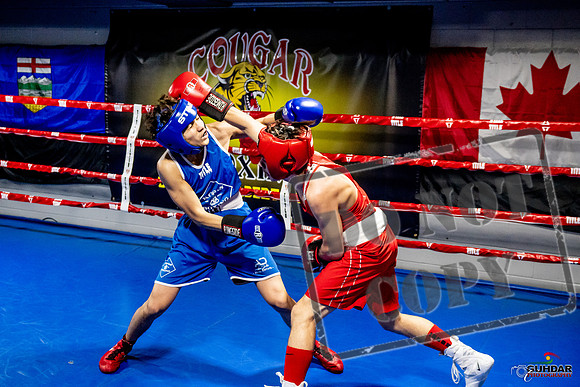 Cougar Boxing Basement Brawl -0448