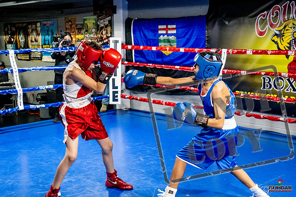 Cougar Boxing Basement Brawl -0322