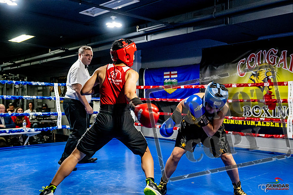 Cougar Boxing Basement Brawl -0285