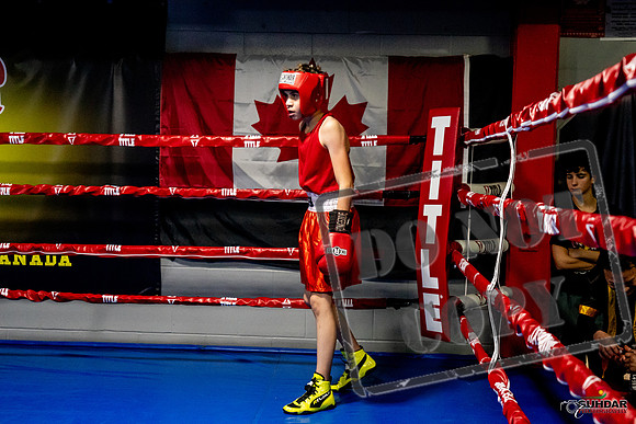 Cougar Boxing Basement Brawl -0235