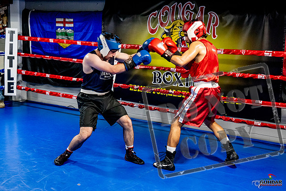 Cougar Boxing Basement Brawl -0411