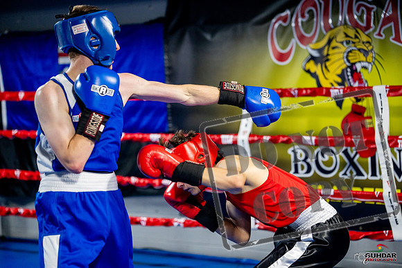 Cougar boxing June 7th 2025-0809