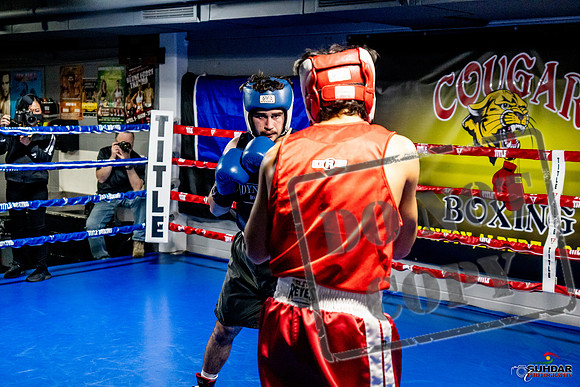 Cougar Boxing Basement Brawl -0389