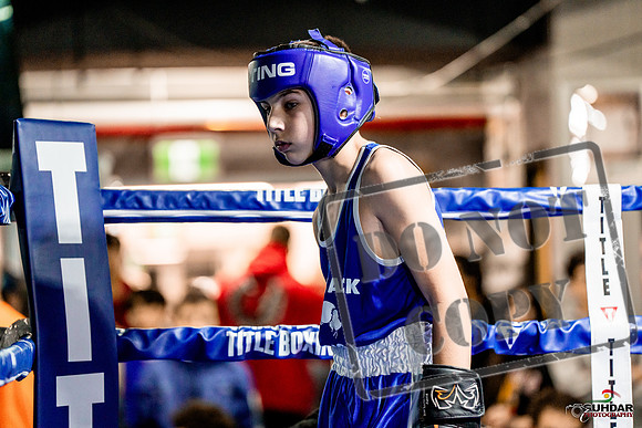 Cougar Boxing Basement Brawl -0010