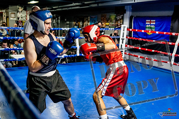 Cougar Boxing Basement Brawl -0363