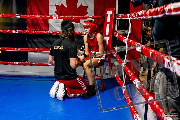 Cougar Boxing Basement Brawl -0577