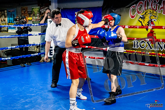 Cougar Boxing Basement Brawl -0485