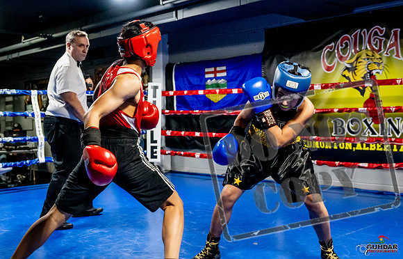 Cougar Boxing Basement Brawl -0284