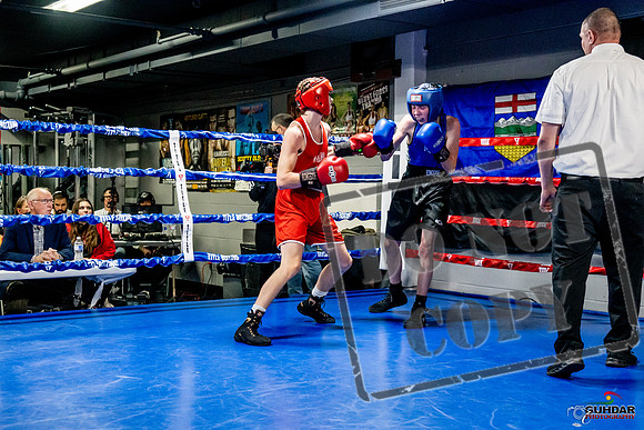 Cougar Boxing Basement Brawl -0126