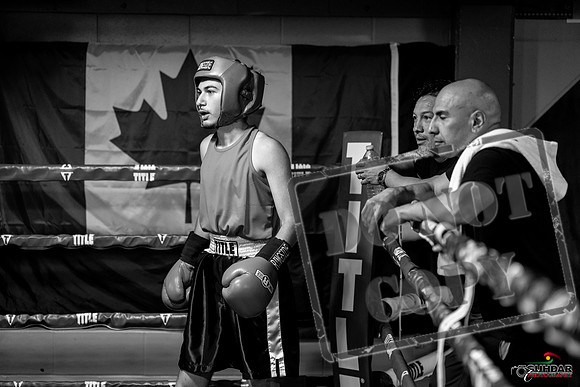 Cougar boxing June 7th 2025-0154