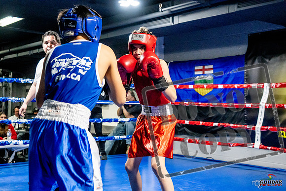 Cougar Boxing Basement Brawl -0228