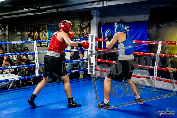 Cougar Boxing Basement Brawl -0667