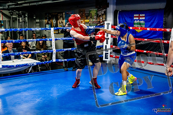 Cougar Boxing Basement Brawl -0517